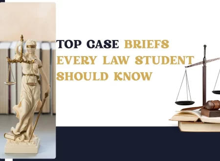 Case Brief