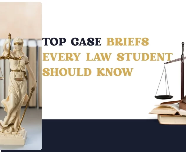 Case Brief