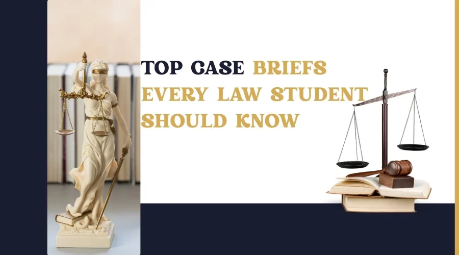 Case Brief