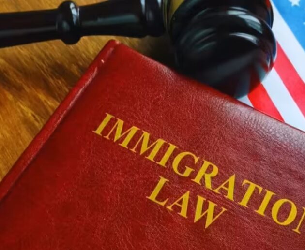 Immigration Law