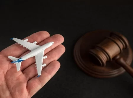Immigration Lawyer