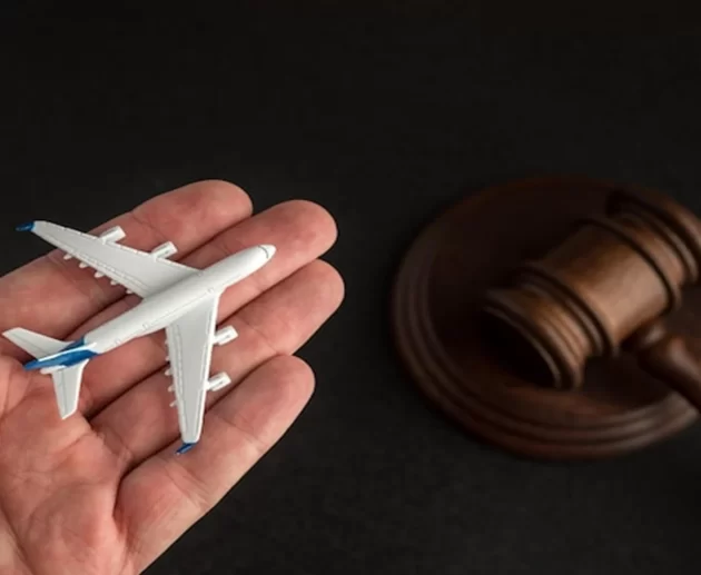 Immigration Lawyer