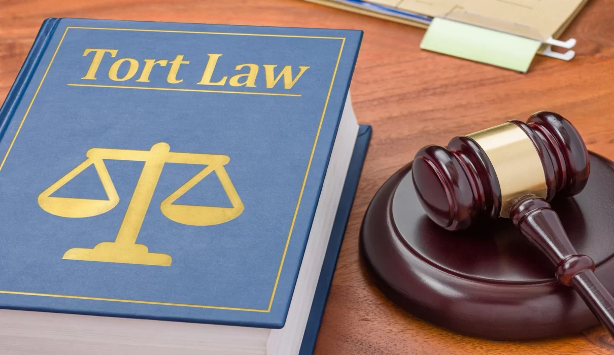 tort law negligence case briefs
