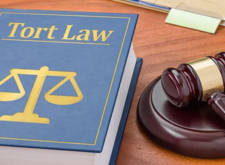 tort law negligence case briefs