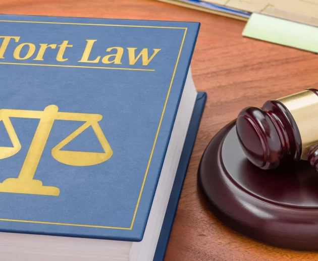 tort law negligence case briefs