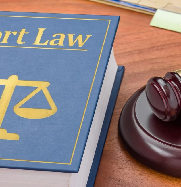 tort law negligence case briefs