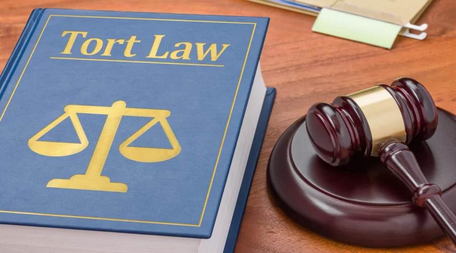 tort law negligence case briefs