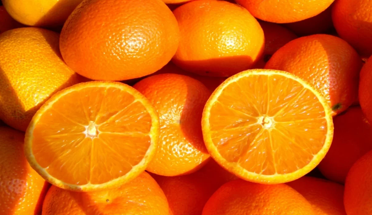 Is it illegal to eat oranges in the bathtub