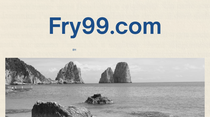 Fry99.com