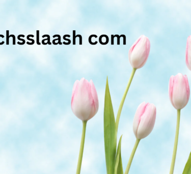 Techsslaash com