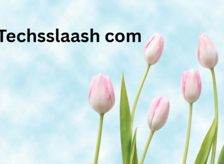 Techsslaash com
