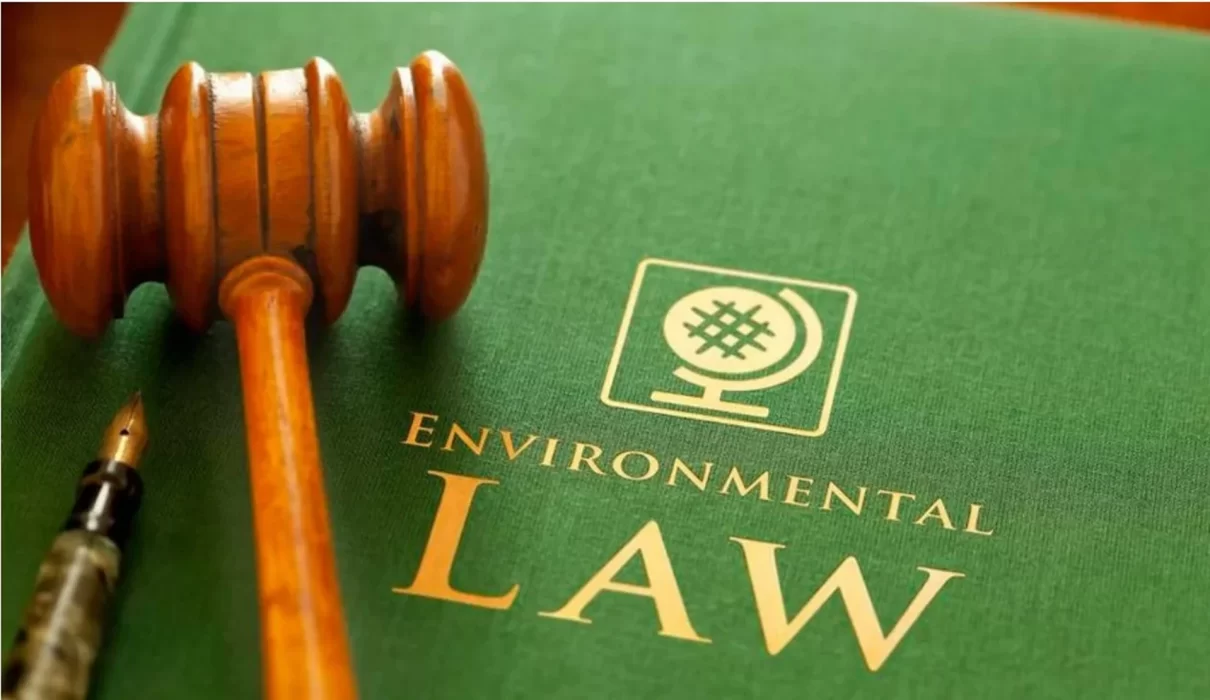 environmental lawyer