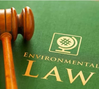 environmental lawyer