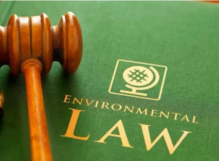 environmental lawyer