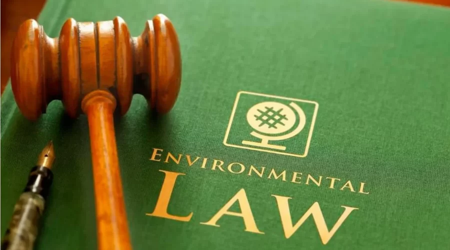 environmental lawyer